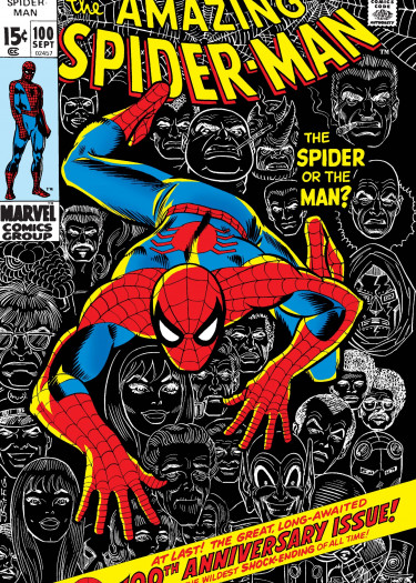 Удивительный Человек-Паук (Amazing Spider-Man)